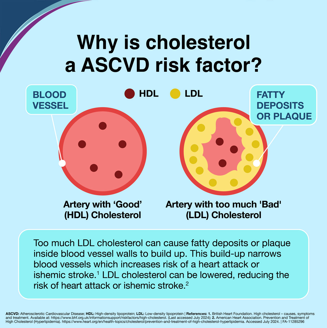 Cholesterol Disease Awareness Material