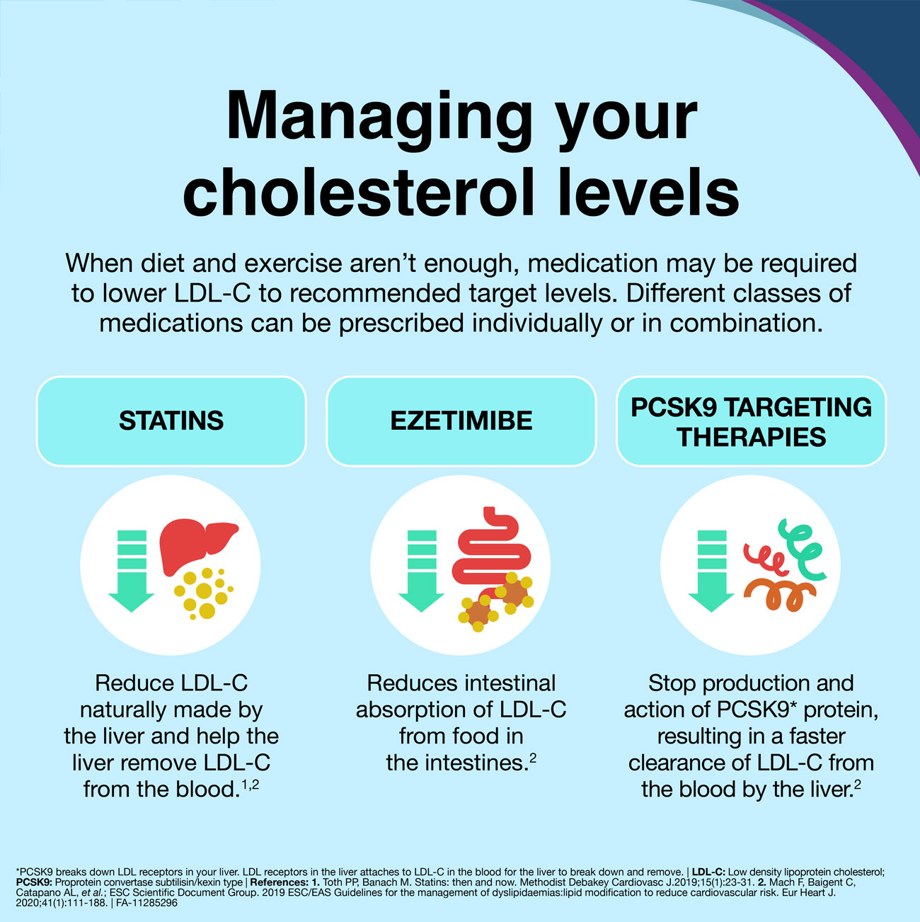 Cholesterol Disease Awareness Material